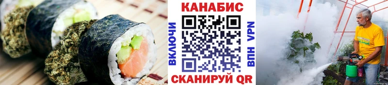 купить наркотик  даркнет какой сайт  Cannafood конопля  Прокопьевск 