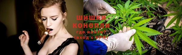 тгк Вяземский