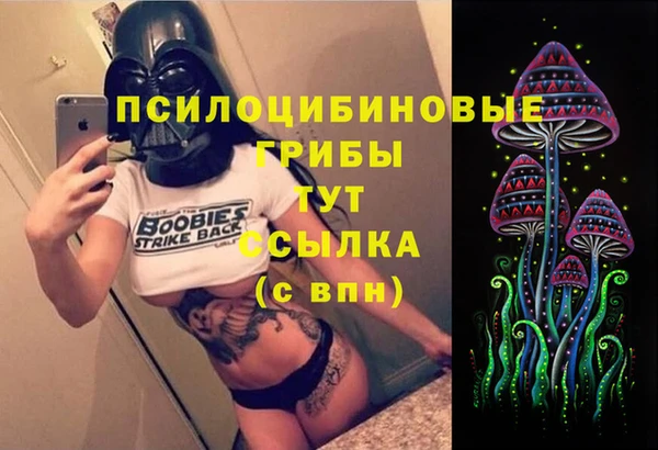spice Семёнов