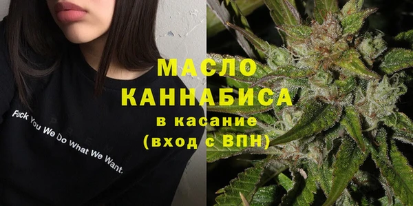 тгк Вяземский