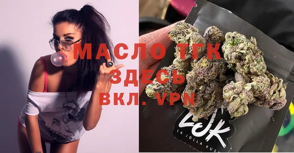 СК Вязьма