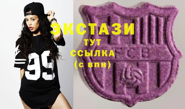 тгк Вяземский
