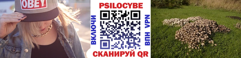 ссылка на мегу онион  цена наркотик  Прокопьевск  Псилоцибиновые грибы ЛСД 